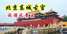 啊啊啊啊要高潮了在线观看中国北京-东城古宫旅游风景区
